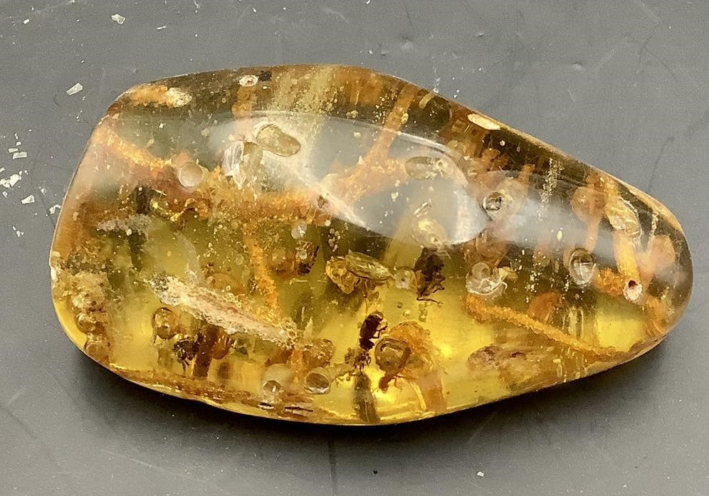 Copal Amber- Young Amber From Madagascar