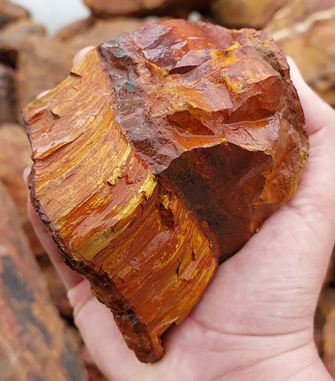 The Geological Phenomenon of Marra Mamba Tiger Eye, W.A