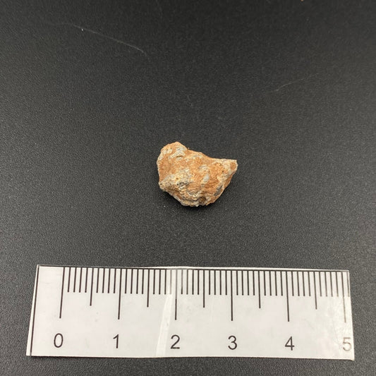 Lunar Meteorite