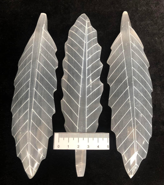 Selenite Oak Leaf