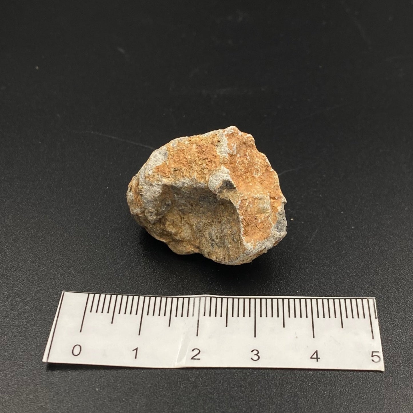 Lunar Meteorite