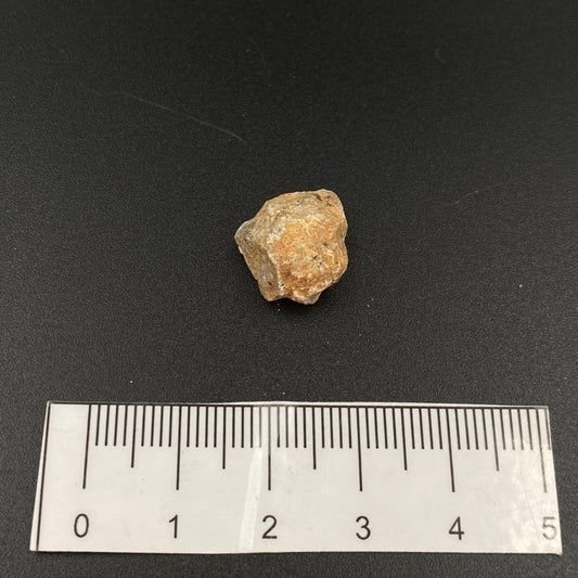 Lunar Meteorite