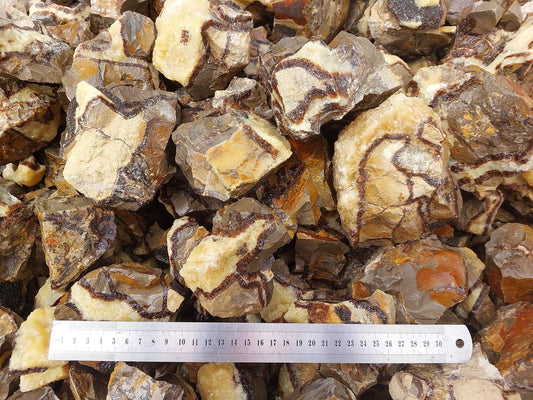 Septarian Rough Rock - 2kg