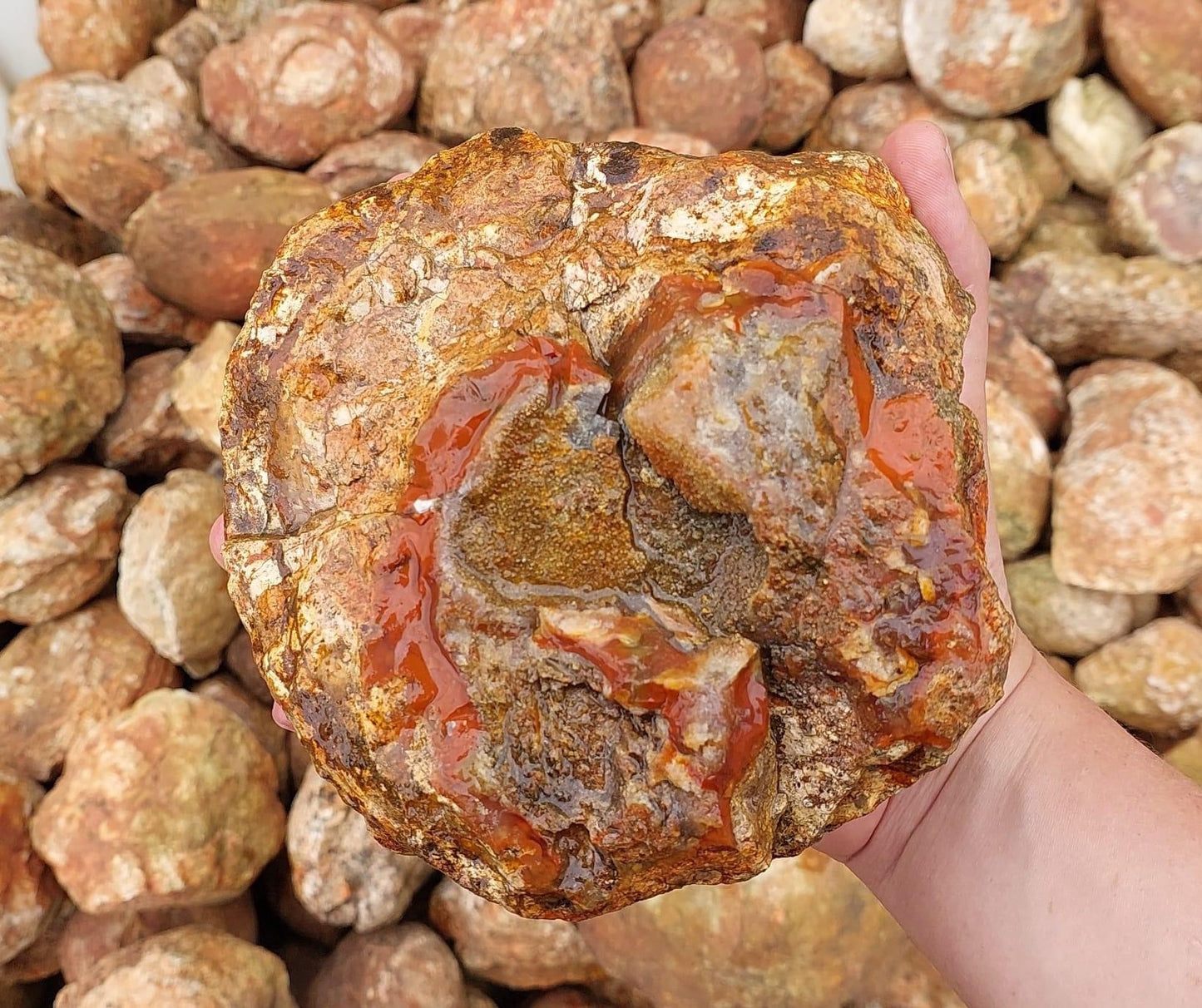 Thunder Egg (Type A) Rough Rock - 3kg