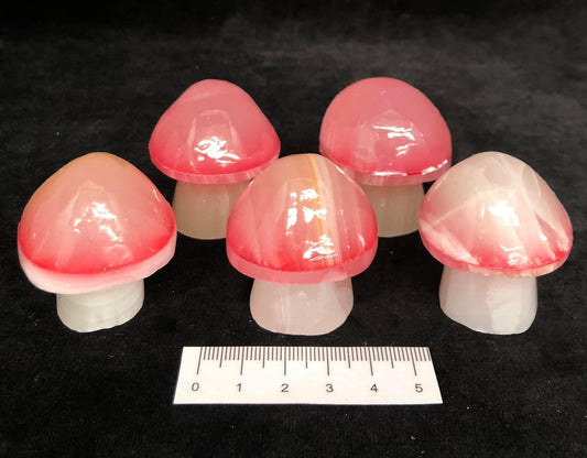 Pink Onyx Mushrooms