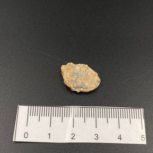 Lunar Meteorite