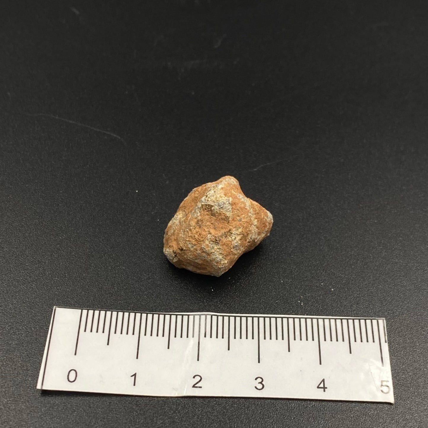 Lunar Meteorite