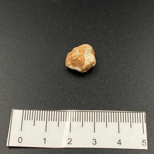 Lunar Meteorite